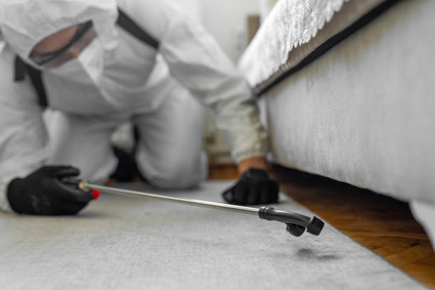 Professional Pest Control technician working in Anchor Point, AK
